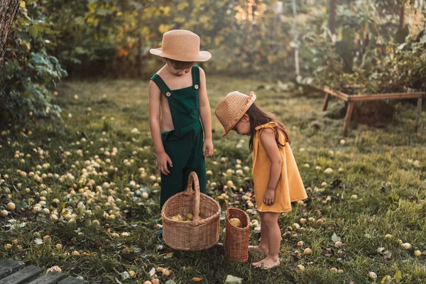 Children Garden Look Baskets Pears — Stock Photo, Image