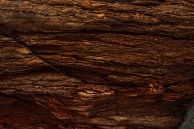 Zengin kahverengi ve koyu renkli kayalık katman yığını. Yüksek kalite fotoğraf