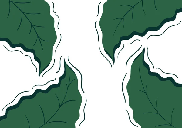 Fond Avec Thème Naturel Avec Des Feuilles Vertes Fond Blanc — Image vectorielle