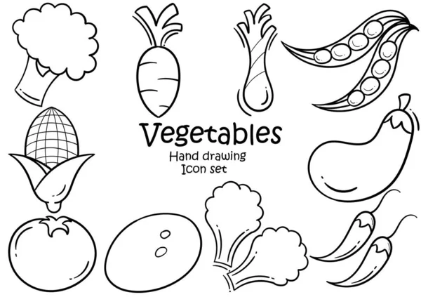 Conjunto Ilustración Dibujado Mano Vegetal Fresco Que Consta Brócoli Zanahorias — Vector de stock