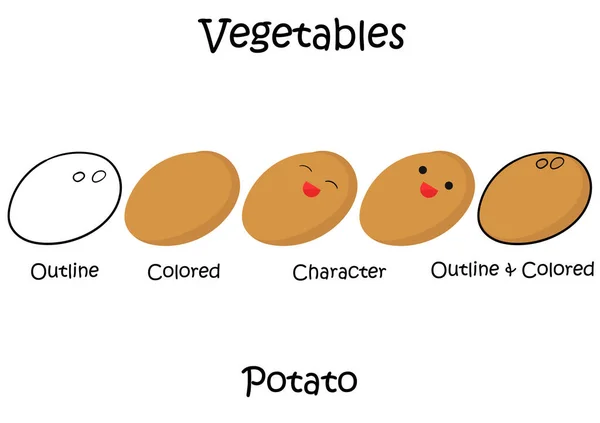 Uma Coleção Ilustrações Vegetais Batata Com Tipo Desenho Contorno Cor — Vetor de Stock