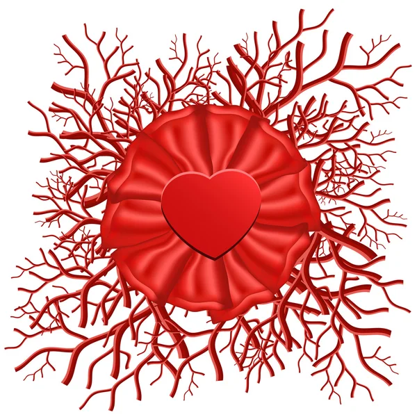 San Valentín Símbolo del corazón con vasculares y cintas — Vector de stock