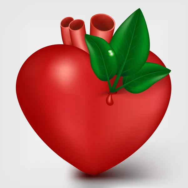Serce valentine z zielonych liści — Wektor stockowy