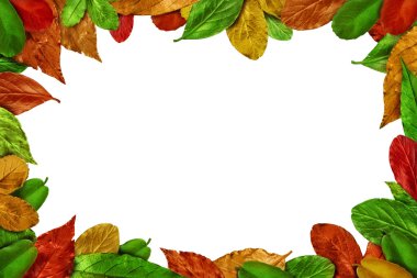 Sonbahar yaprakları çerçevesi