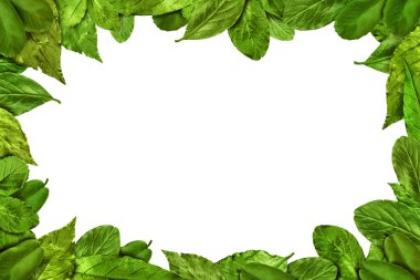 Bahar yaprakları vintage çerçeve 