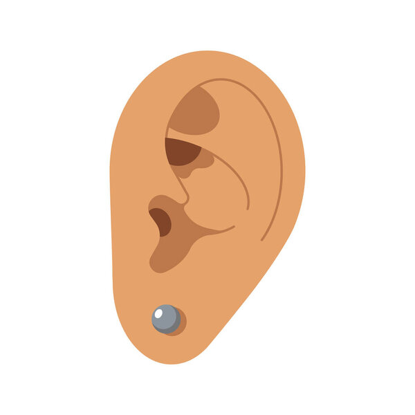 Ear with a silver earring. Piercing. Auricle. Organ of hearing. Vector isolated illustration.