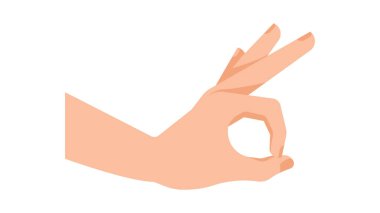 Jest yap. Tamam. Her şey yolunda. Beyaz arkaplanı işaretle. Problem sembolü yok. Sıfır el hareketi. İnsan beyaz eli, izole edilmiş vektör.. 