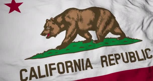 Animation Plein Cadre Drapeau Californie Usa Agitant — Video