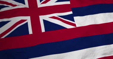 Hawaii (ABD) bayrağının tam kare 3D animasyonu.