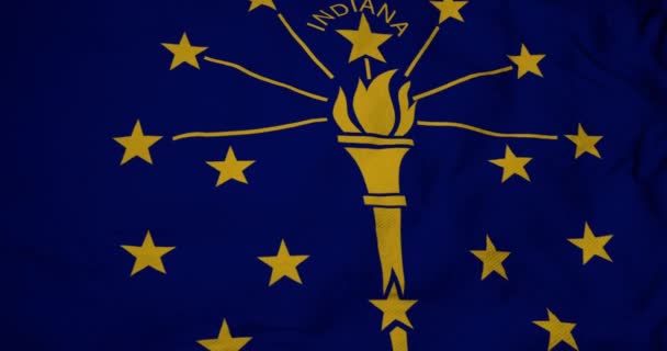 Pełna Klatka Animacja Flagi Indiana Usa Machanie — Wideo stockowe