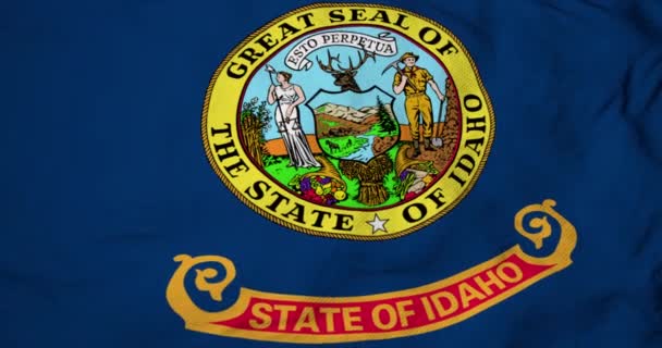 Full Frame Animace Vlajky Idaho Usa Mávající — Stock video