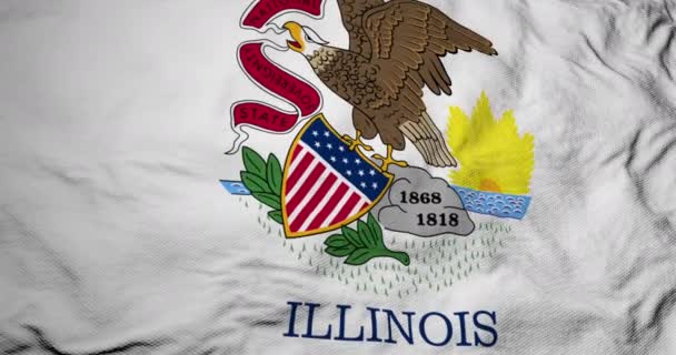 Full Frame Animation Flag Illinois Usa Waving — Stock Video