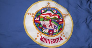 Minnesota (ABD) bayrağının tam kare 3D animasyonu.