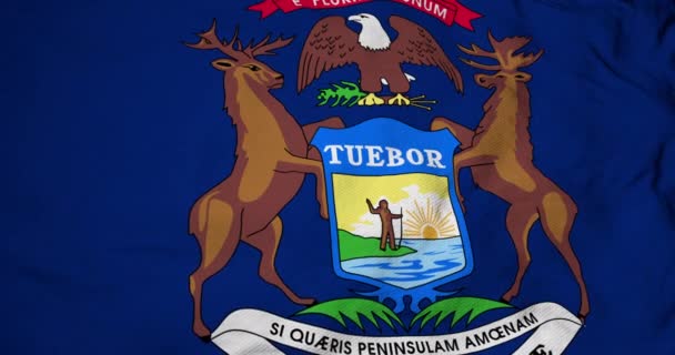 ミシガン州の旗のフルフレーム3Dアニメーション 手を振って — ストック動画