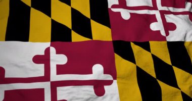Maryland (ABD) bayrağının tam kare 3D animasyonu.