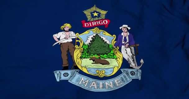 Animation Einer Flagge Von Maine Usa Die Geschwenkt Wird — Stockvideo