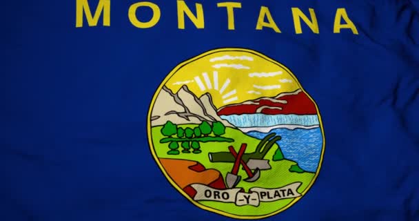 Full Frame Animace Vlajky Montany Usa Mávající — Stock video