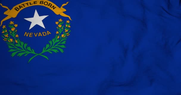 Cuadro Completo Animación Una Bandera Nevada Usa Ondeando — Vídeo de stock