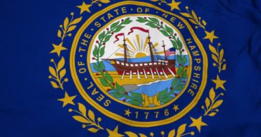 New Hampshire (ABD) bayrağının tam kare 3D animasyonu.