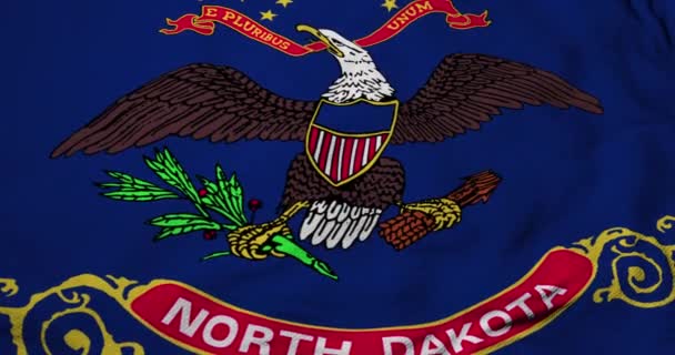 ノースダコタ州の旗のフルフレーム3Dアニメーション 手を振って — ストック動画