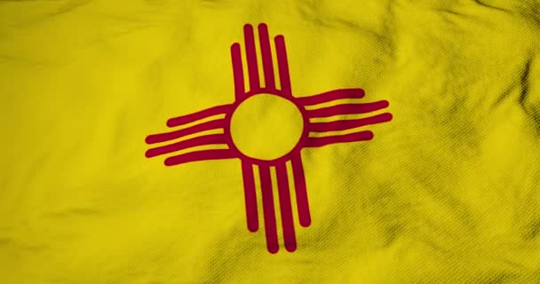 2017 Full Frame Animation Flag New Mexico Usa Washing — 비디오