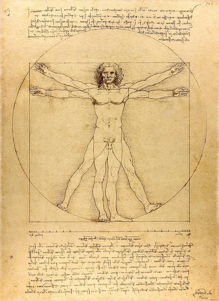 Den Vitruvianska Mannen Ritad Leonardo Vinci 1492 — Stockfoto