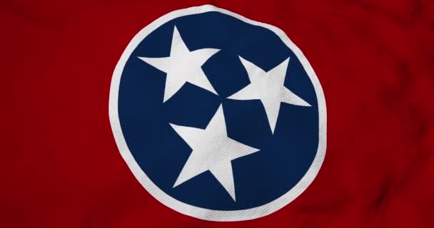 Full Frame Animation Flag Tennessee Usa Waving — Stock Video