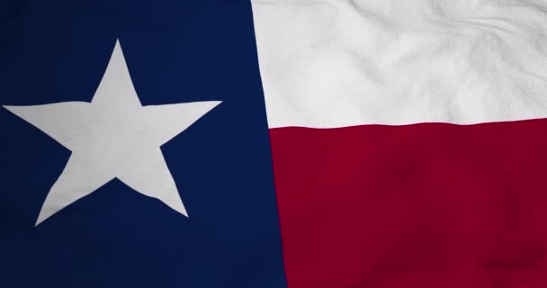 Animação Armação Cheia Uma Bandeira Texas Eua Acenando — Vídeo de Stock