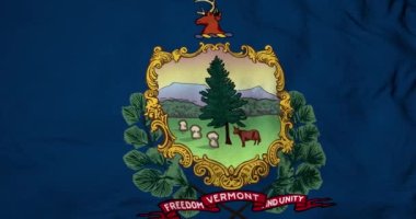 Vermont (ABD) bayrağının tam kare 3D animasyonu.