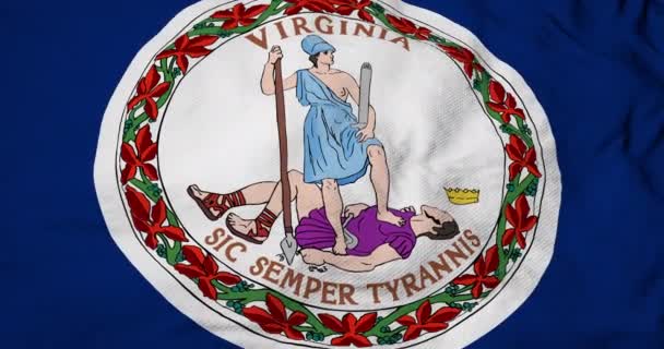 Full Frame Animace Vlajky Virginie Usa Mávající — Stock video