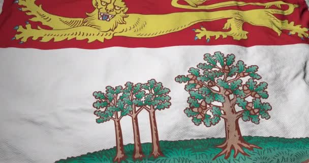 Full Frame Animation Flag Prince Edward Island Canada Waving — Stock Video