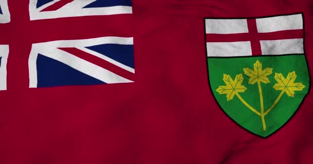 Animation Einer Flagge Von Ontario Kanada Die Geschwenkt Wird — Stockvideo