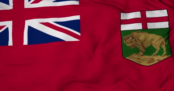 Cuadro Completo Animación Una Bandera Manitoba Canadá Ondeando — Vídeos de Stock