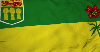 Saskatchewan (Kanada) bayrağının 3D animasyonu.