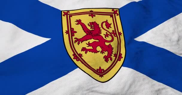 Πλήρες Πλαίσιο Animation Της Σημαίας Της Νέας Σκωτίας Καναδάς Κυματίζει — Αρχείο Βίντεο