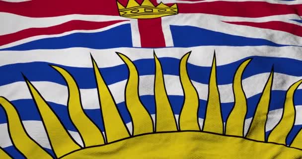 Animation Der Flagge Von British Columbia Kanada — Stockvideo