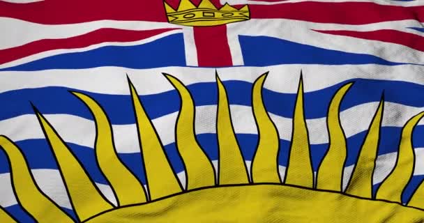 Full Frame Animatie Van Vlag Van British Columbia Canada Zwaaiend — Stockvideo