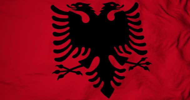 Volledige Frame Animatie Van Een Albanese Vlag Zwaaiend — Stockvideo