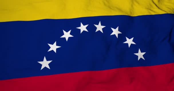 Volledige Frame Animatie Van Een Venezolaanse Vlag Zwaaiend — Stockvideo
