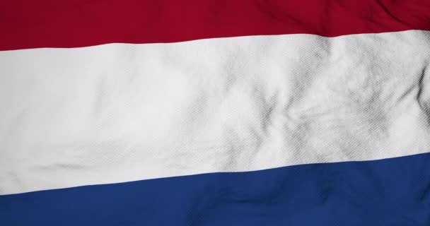 Animation Einer Holländischen Flagge Die Schwenkt — Stockvideo