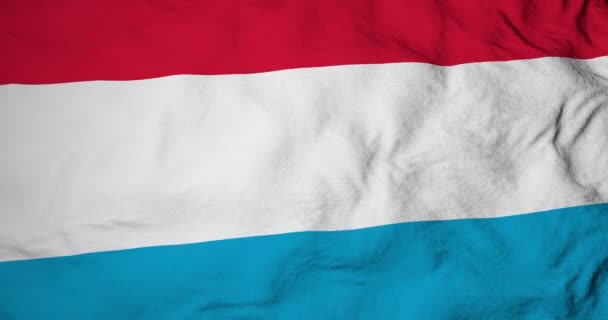 Animazione Full Frame Una Bandiera Lussemburghese Che Sventola — Video Stock