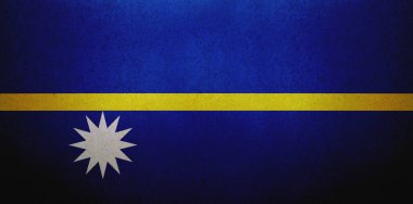 Kağıt bir yaprağa basılmış Nauru bayrağı.