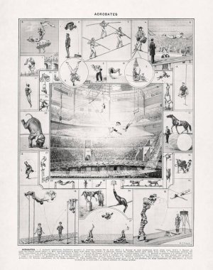 Marthe ve Juliette Vesque tarafından yapılan siyah-beyaz çizimler sirk sanatçılarının akrobatik yetenekleriyle ilgili..
