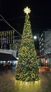 Islak asfaltta yansıyan bir Noel ağacına yakın çekim..