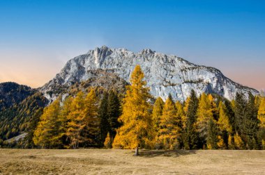 Güneş, İtalyan Dolomitleri 'nde Marmolada' nın önündeki görkemli sonbaharda batar.