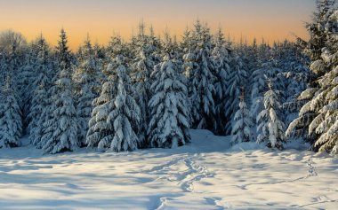  Karda Noel Dolomitlerin güzel kışında