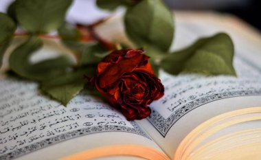 Güzel bir gülü olan eski açık bir kitap.