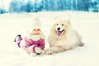 Kış günü kar üzerinde yalan beyaz Samoyed köpek ile mutlu çocuk