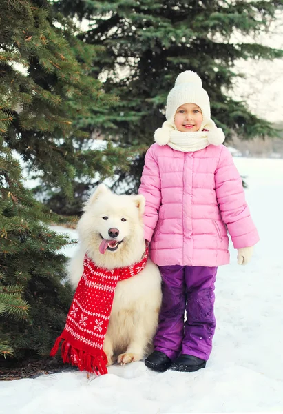 Child with white Samoyed dog in red scarf near christmas tree in — Stock Photo, Image
