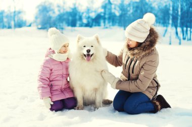 Anne ve çocuk ile beyaz Samoyed köpek birlikte wint karda üzerinde